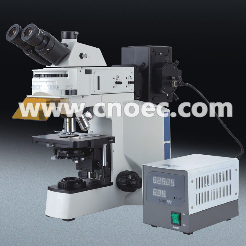 Laboratory APO Fluorescence Microscope with Digital Head , 5.0M Camera A16.0909