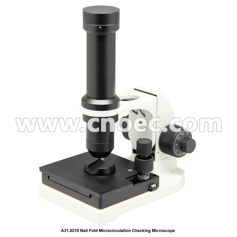 Nail Checking Fluorescence Digital Optical Microscope Video Biological
