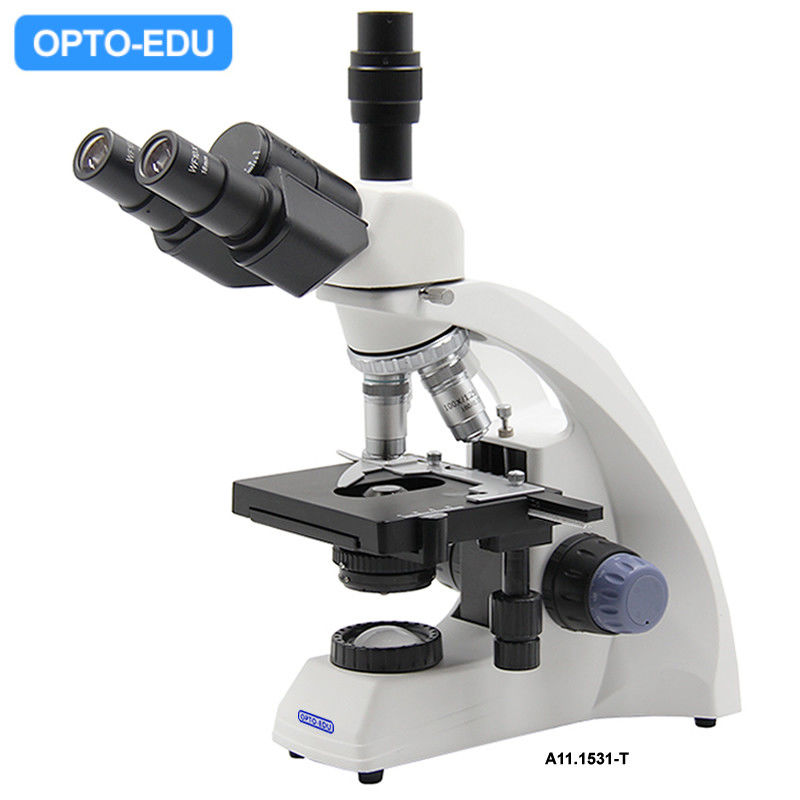 Teaching OPTO-EDU A11.1531 40X Compound Light Microscope