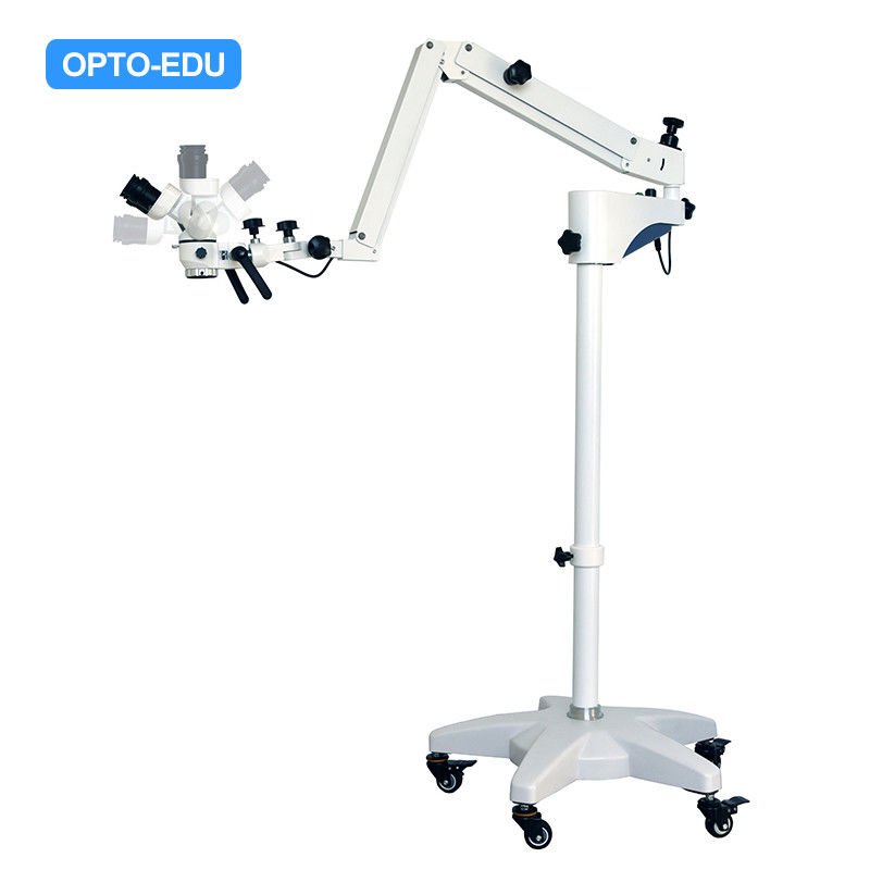 12.5X Medical 30mm Dental Lab Microscope Surgical Operating