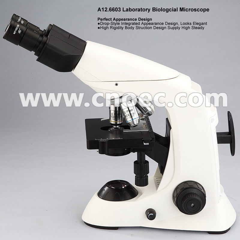 Infinity E - plan Aspheric Illumination Compound Optical Microscope A12.6603