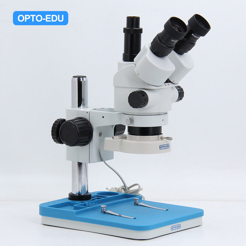 9" LCD Digital Zoom Stereo Optical Microscope