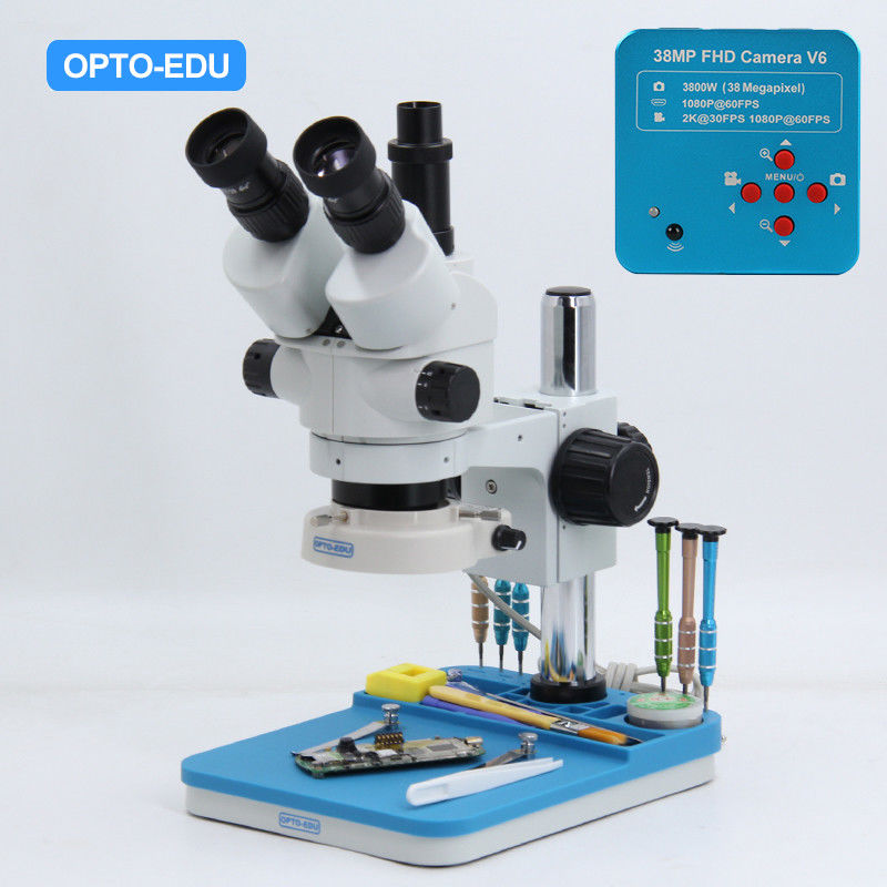 9" LCD Digital Zoom Stereo Optical Microscope