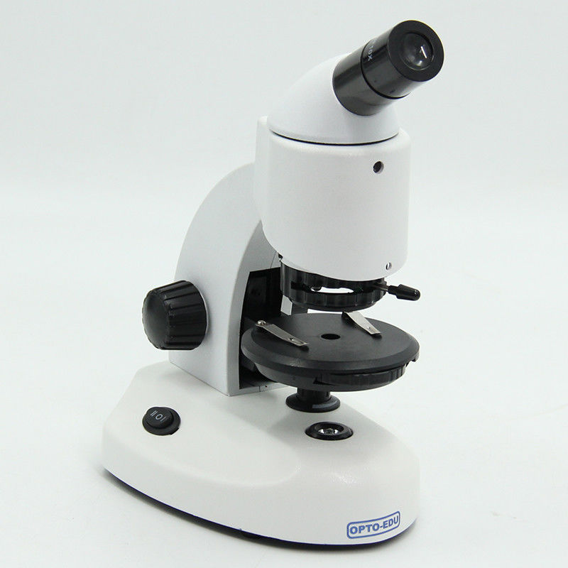 Stereo OPTO EDU 20x-100x Binocular Biological Microscope