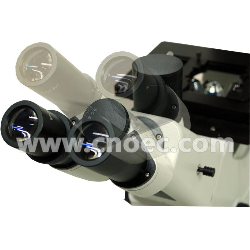 Inverted Halogen Illumination Phase Contrast Microscopy Rohs CE A19.0205
