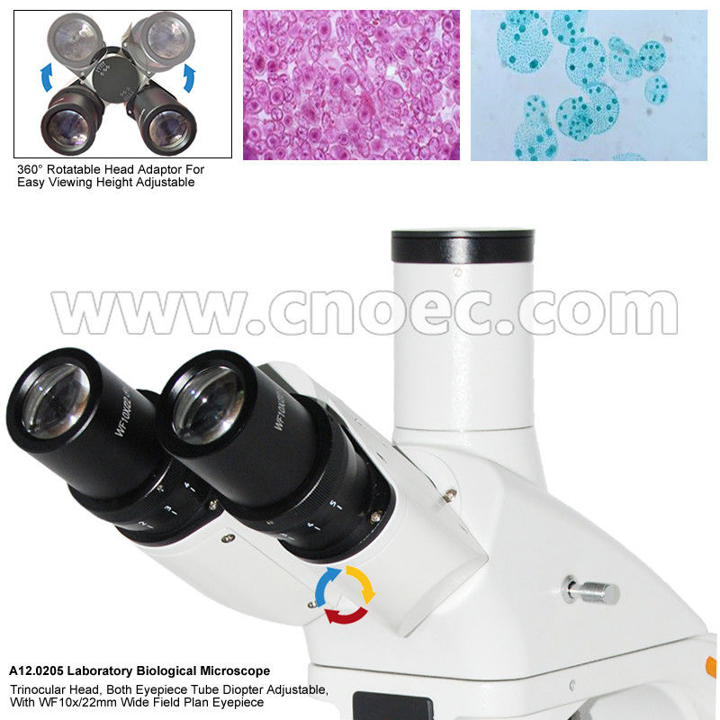 Infinity Laboratory Biological Microscope LED Illumination With CE A12.0205