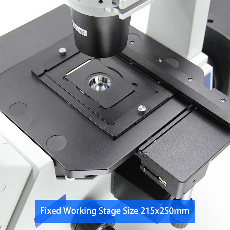 CE Semi Apo OPTO EDU Inverted Fluorescence Microscope