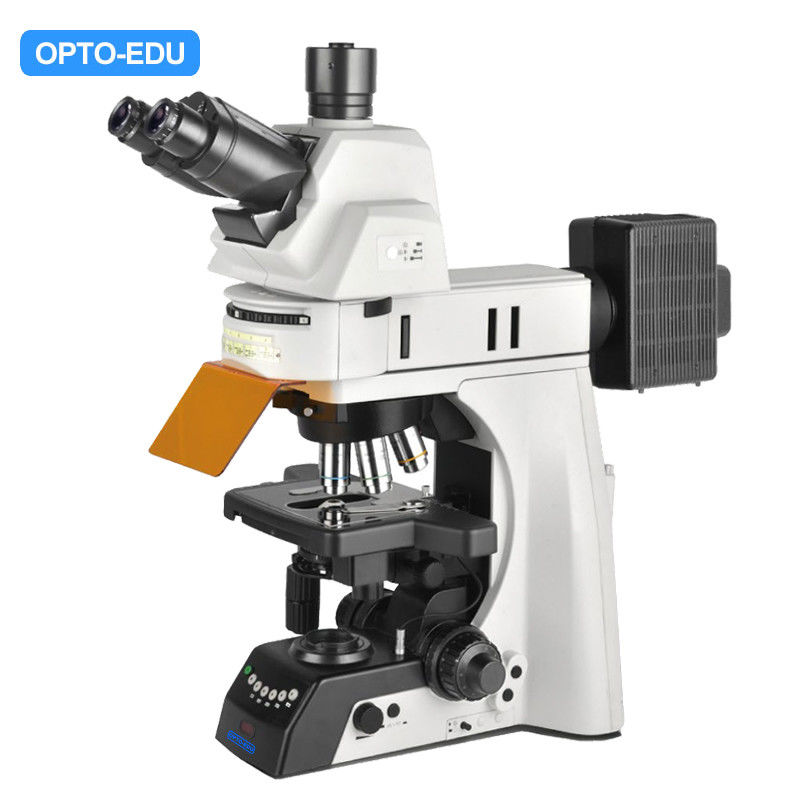 OPTO EDU A16.1093-L Trinocular LED Upright Fluorescent Light Microscope Semi Auto