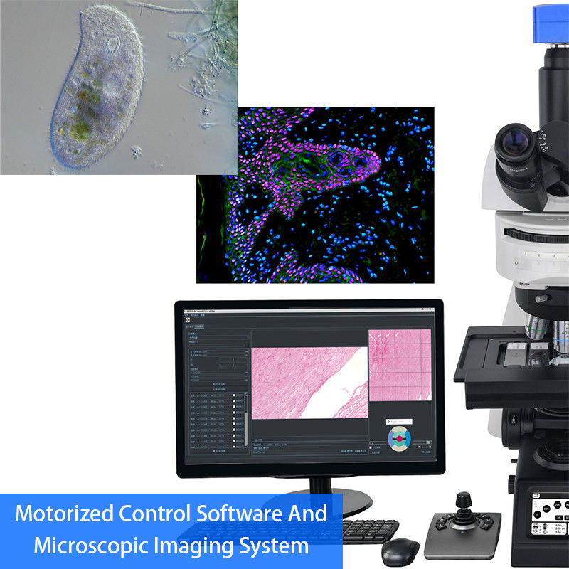 Research Scientific Full Auto Motorized Opto-Edu Binocular Biological Microscope A12.1095