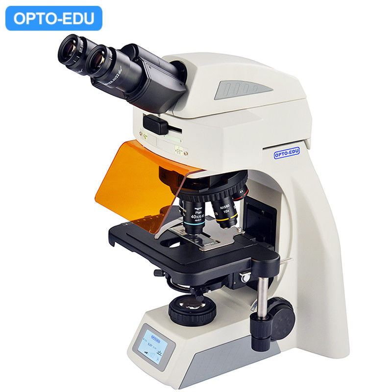 OPTO EDU A16.1062 Infinity Binocular Trinocular Led Fluorescent Microscope BG