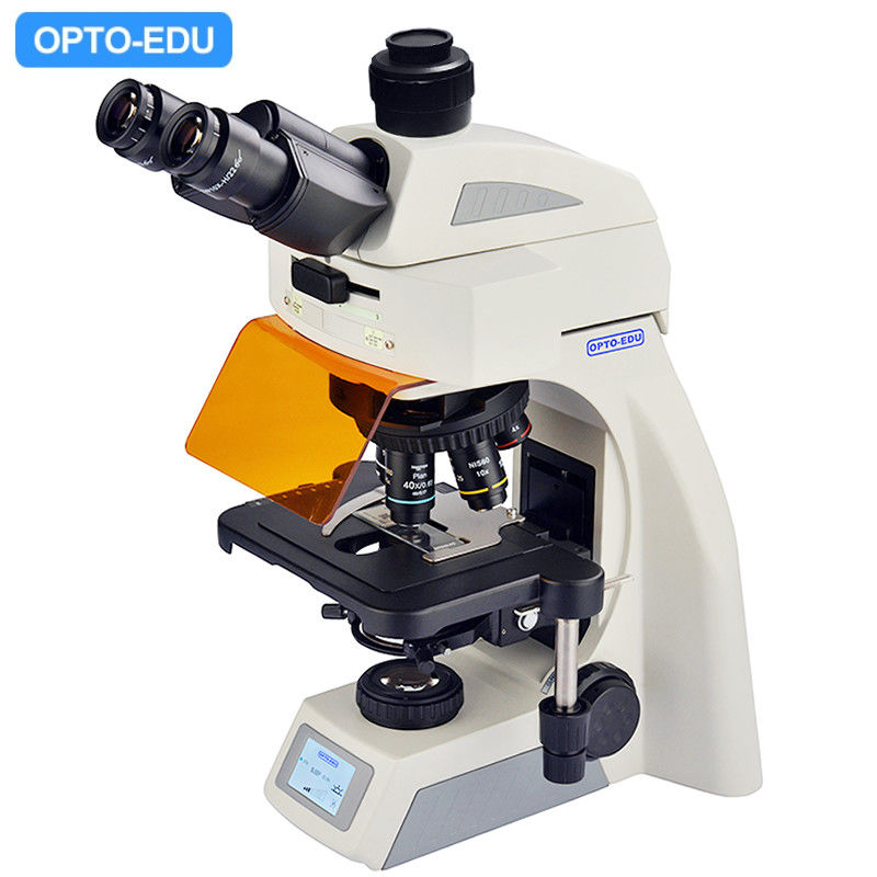 OPTO EDU A16.1062 Infinity Binocular Trinocular Led Fluorescent Microscope BG