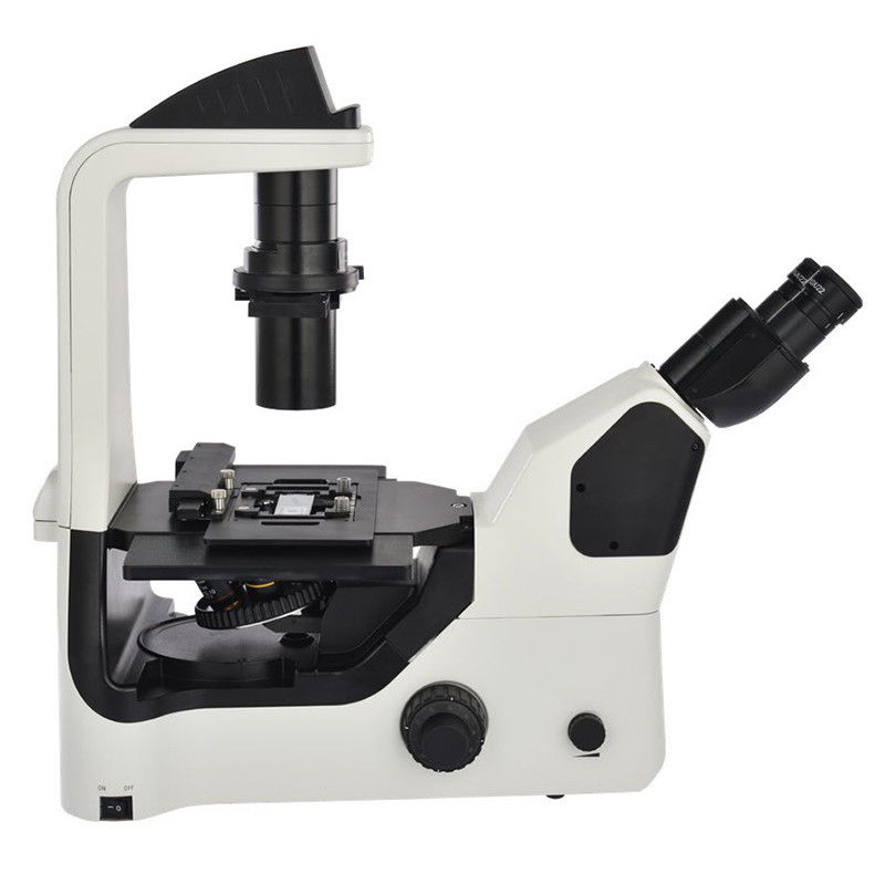 OPTO EDU A14.1064 Inclined Phase Contrast Fluorescence Microscope