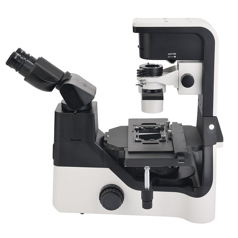 OPTO EDU A14.1065 Tilting Inverted Phase Contrast Microscope