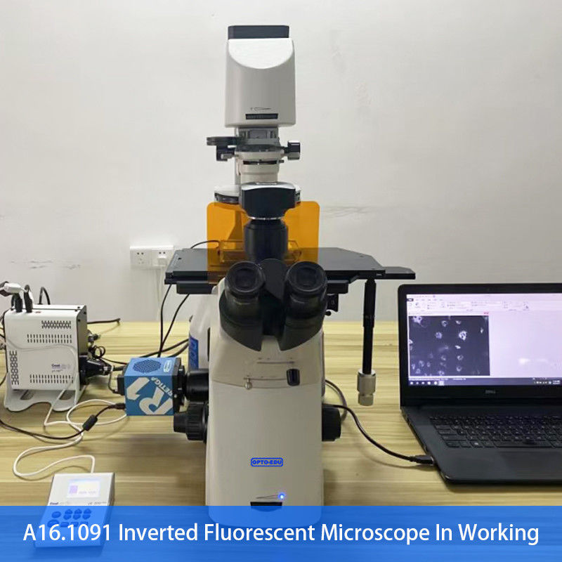 Opto Edu A16.1097 Lcd Touch Screen Fluorescence Stereomicroscope