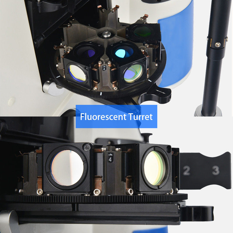 Opto Edu A16.1097 Lcd Touch Screen Fluorescence Stereomicroscope