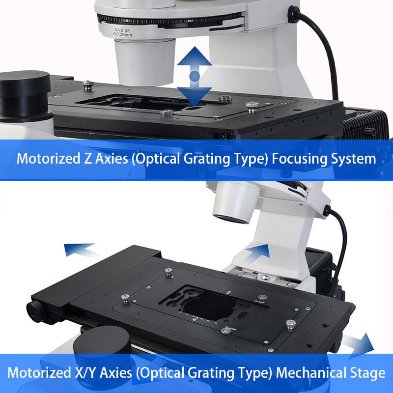 Full Motorized Opto Edu Microscope Semi APO BF / PH / PL / FL / DIC