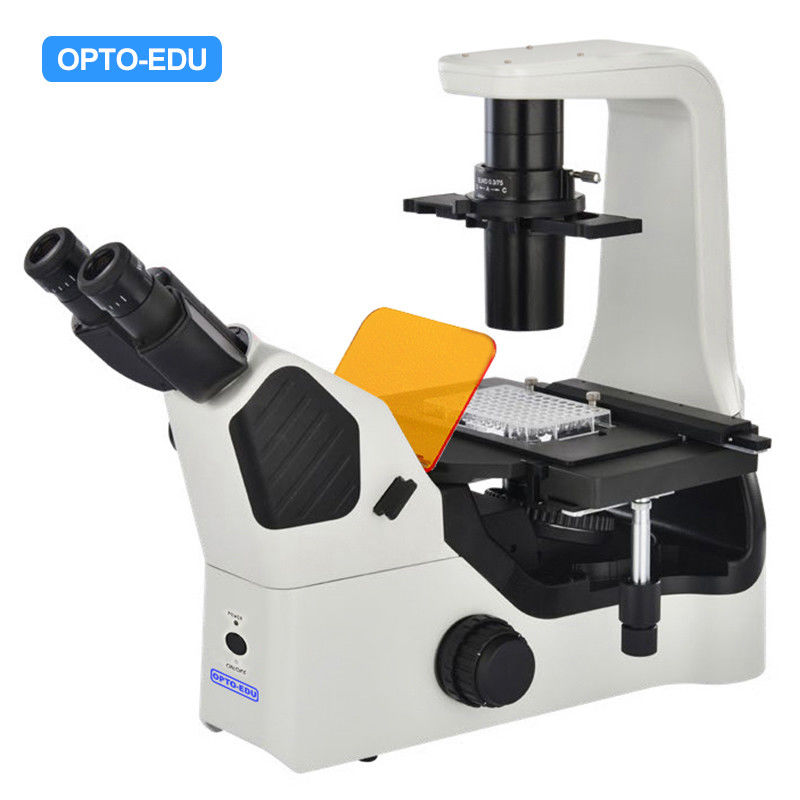 OPTO EDU A16.1063 LED Inverted Fluorescence Microscope
