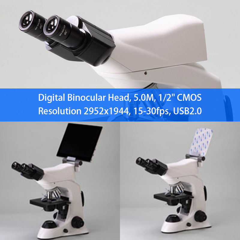 Research Binocular Head Digital Optical Microscope A31.6603