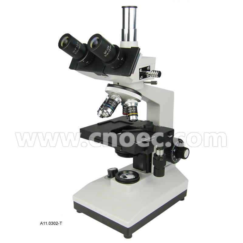 Halogen Lamp Biological Microscope Binocular / Trinocular  Microscopes A11.0302