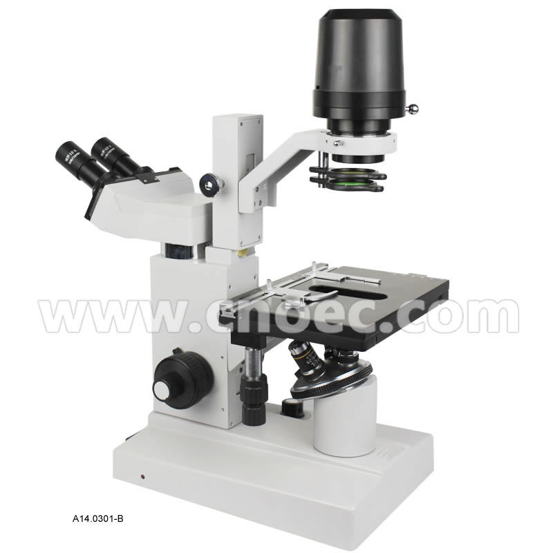 Binocular Head 640X Inverted Optical Microscope A14.0301 With 12V 50W Halogen Lamp