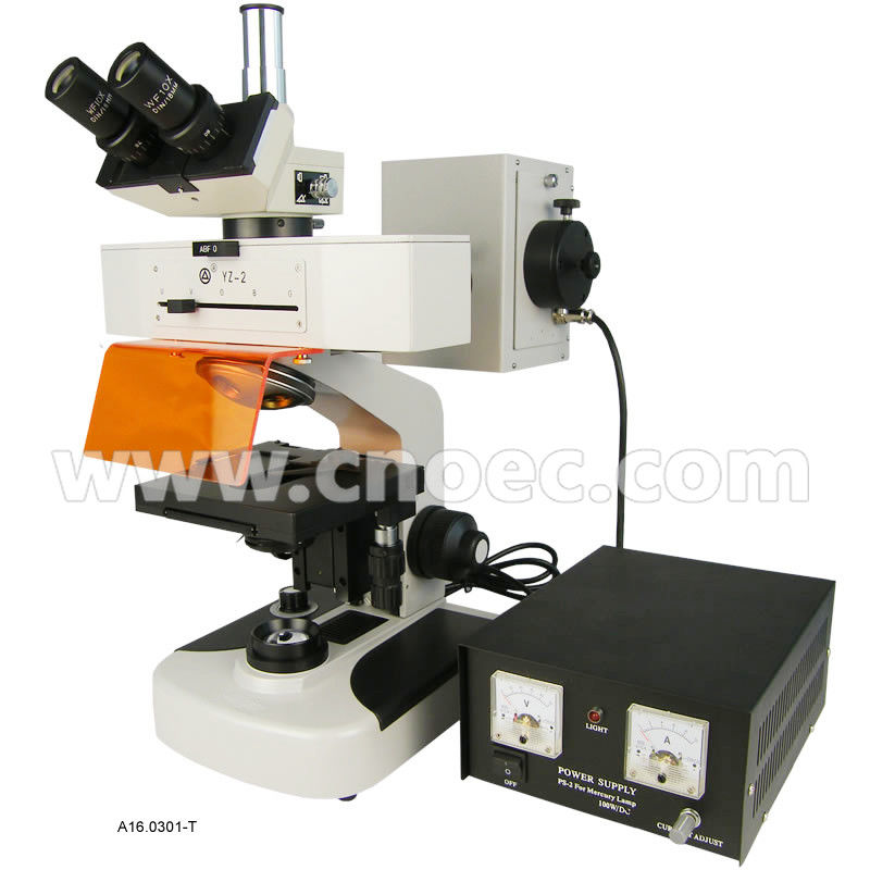 Binocular / Trinocular 1000x Fluorescence Microscope with Halogen Lamp A16.0301