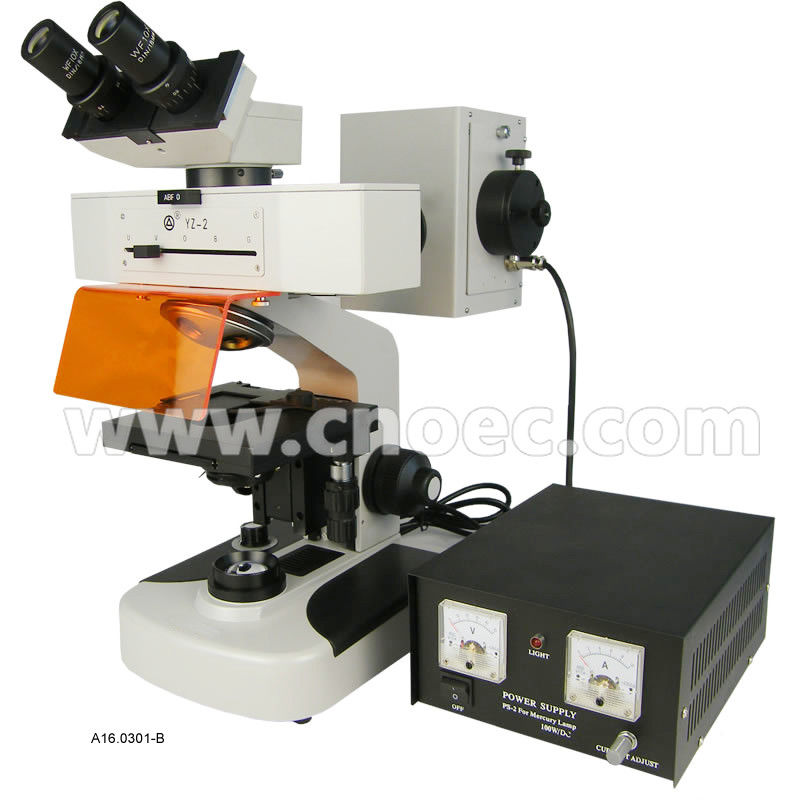 Binocular / Trinocular 1000x Fluorescence Microscope with Halogen Lamp A16.0301