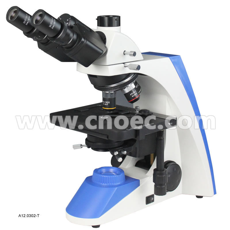 Infinity Compensation Wide Field Microscope A12.0302 Binocular Head , Y Style Body