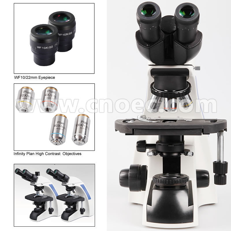 infinity Plan Achromatice Compound Optical Microscope 3W LED A12.1502 Backward Quadruple Nosepiece