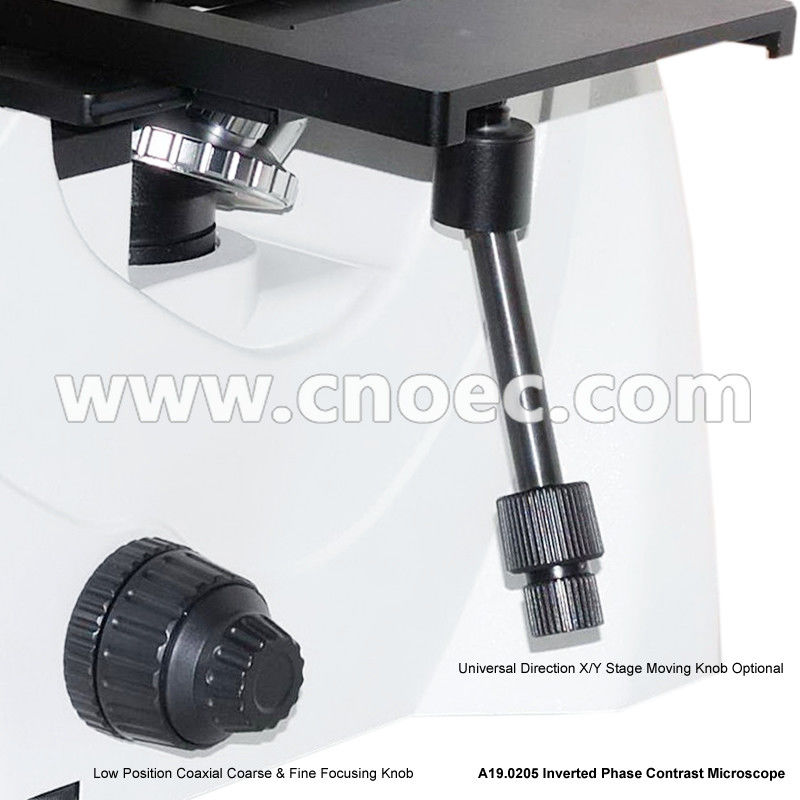 Trinocular LWD Objective Bright Field Inverted Phase Contrast Microscope 3W LED A19.0205