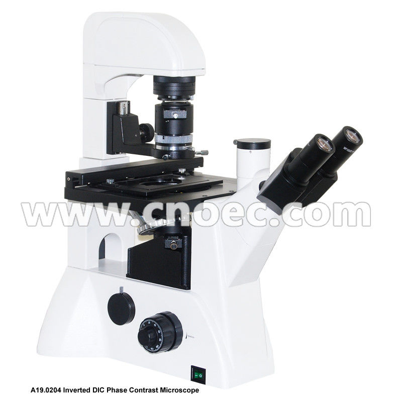 Infinity  Trinocular Inverted Phase Contrast Microscope DIC Bright Field  A19.0204