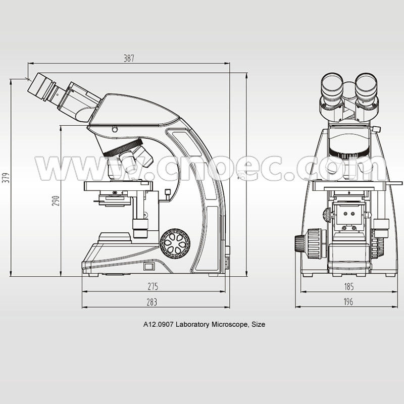 Infinity Plan Phase Contrast Microscope with Kohler 3W LED Illumination A19.0907