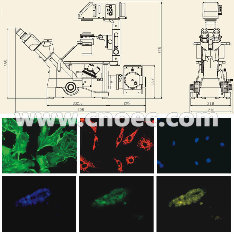 Corrected Optical System Inverted Flourescence Microscope , Kohler A16.0900