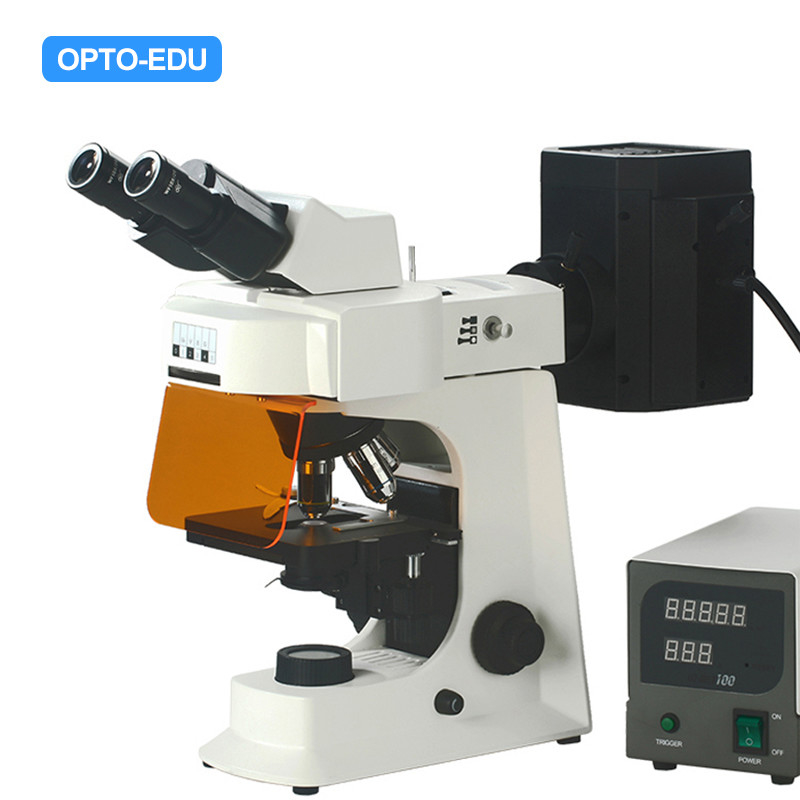 OPTO-EDU A16.2601-B2 Fluorescent Microscope, Binocular, B/G
