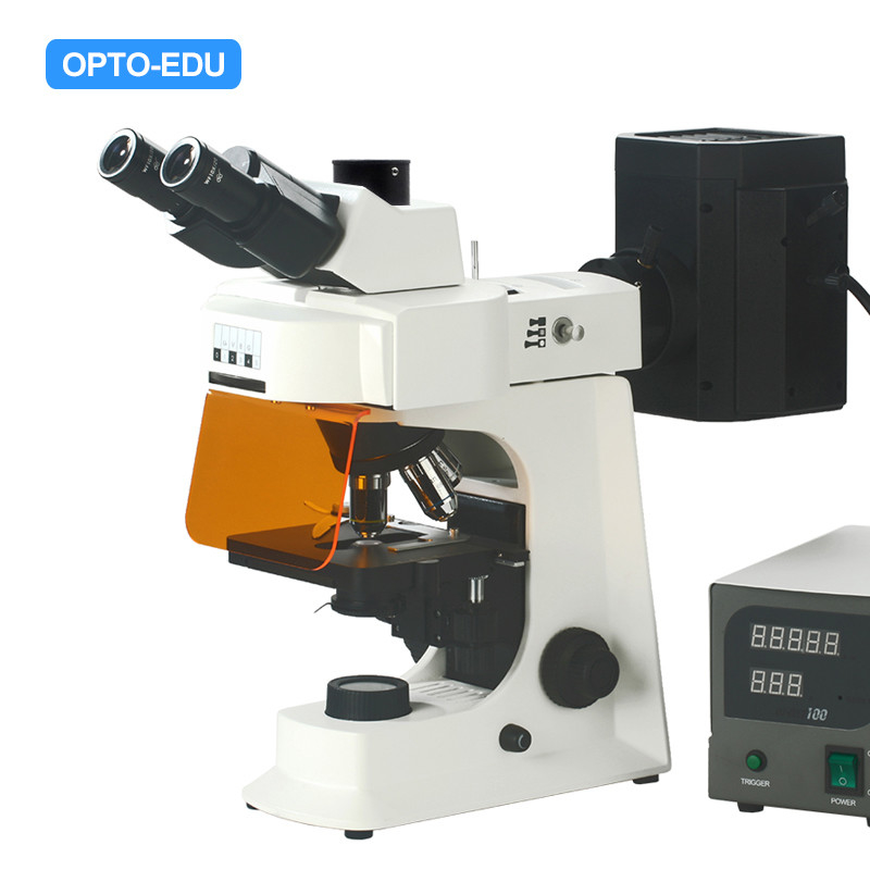 OPTO-EDU A16.2601-B2 Fluorescent Microscope, Binocular, B/G