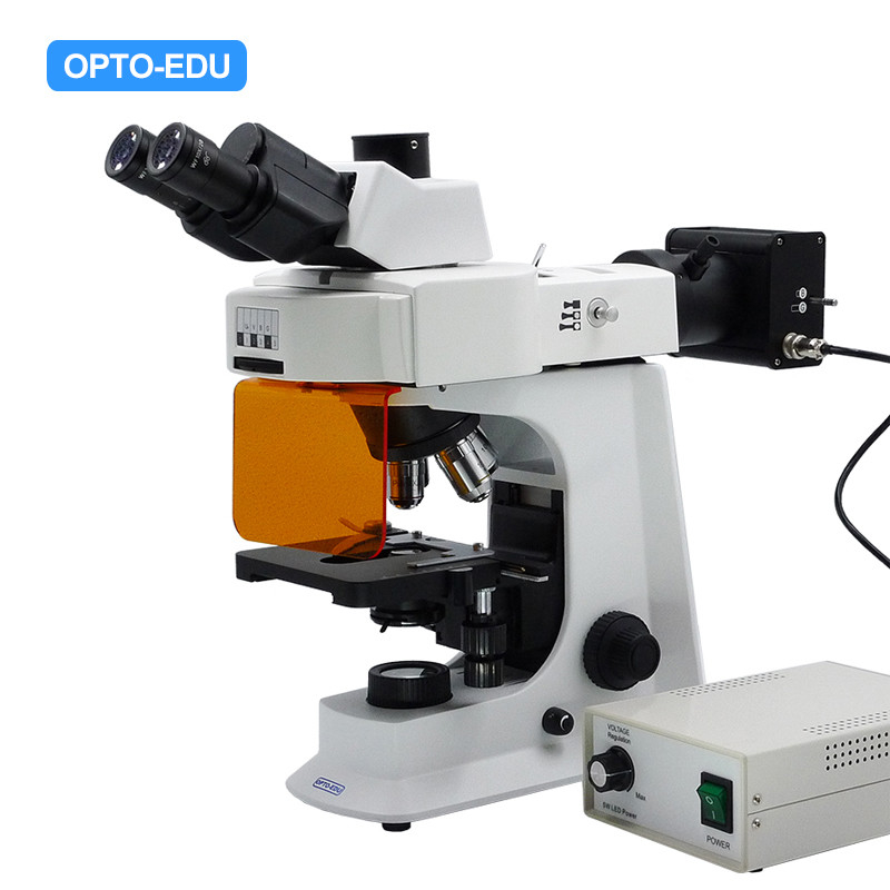 OPTO-EDU A16.2601 40x - 1000x LED Trinocular Fluorescence Microscope For Research / Learning