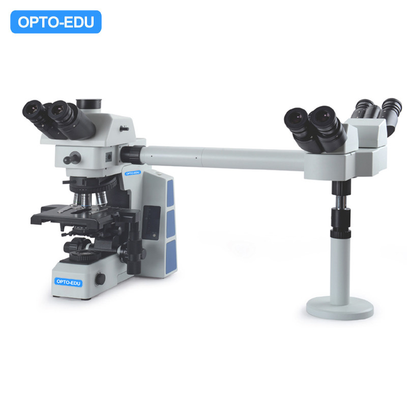 Inclined 22mm Multi Viewing Microscope Opto-Edu A17.0950-3