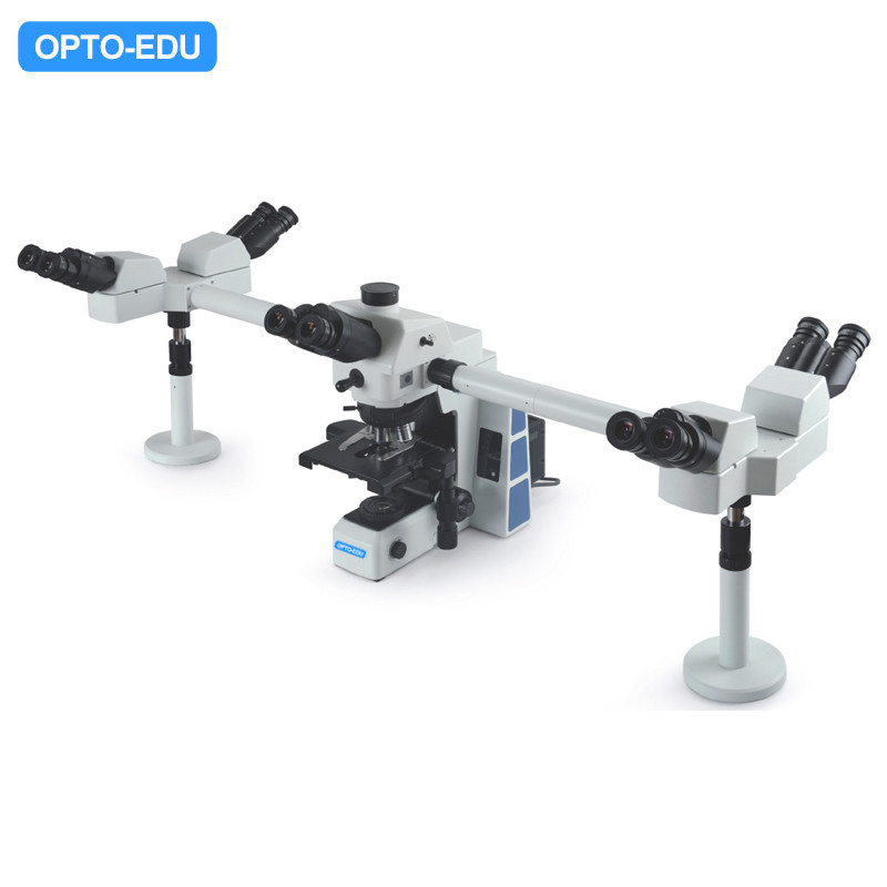 LED Opto-Edu A17.0950-5 Multi Viewing Microscope Rohs