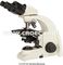 Infinity Plan Compound Optical Microscope with Halogen Lamp A12.2701- AP