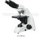 Finite Optical System Biological Microscope With Coaxial Coarse / Fine Focusing , A12.1035