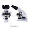 WF10X/18mm Finity Optical System Biological Microscope  A11.1530 With Double Layer Mechanical Stage