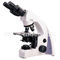 40X - 1000X Ergonomic Binocular Head LED Light Source Microscope , A12.1029