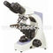 Hobby Biological Compound Optical Microscope With Quadruple Nosepiece A12.1032