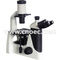 Biological Cordless Inverted Optical Microscope 400X A14.2702