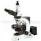 40x - 1000x Polarizing Light Microscope Halogen Lamp A15.1018