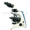 Professional Polarizing Light Microscope Binocular A15.2601