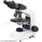 Monocular / Binocular Biological Microscope With Low Position Coaxial Coarse A12.0902