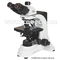 Color Corrected Phase Contrast Microscopes Student Fluorescent Microscope CE A12.0904