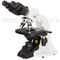 40X 100X Compound Optical Microscope Laboratory Biological Microscope A12.1004