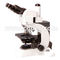 Compensation Free Binocular Infinity Plan Microscope 1000X , EWF10X - 20 CE A12.1025