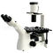 Halogen Lamp Inverted Optical Microscope Wide Field Microscopes CE A14.1101